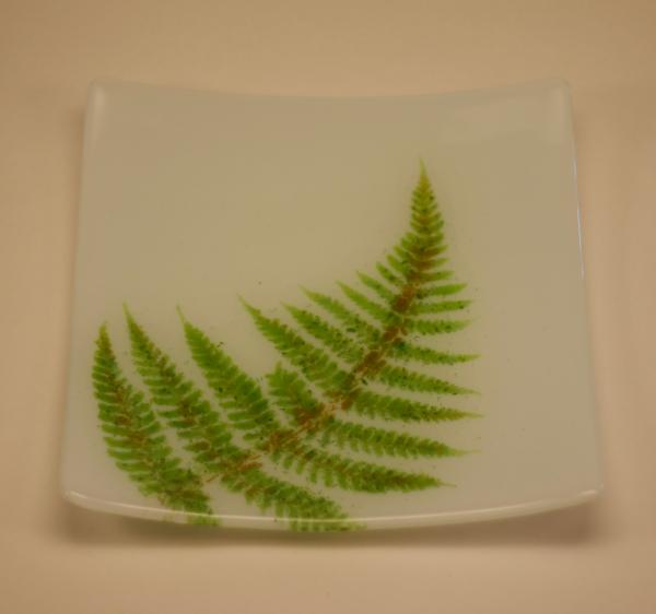 Fern Vitra Plate