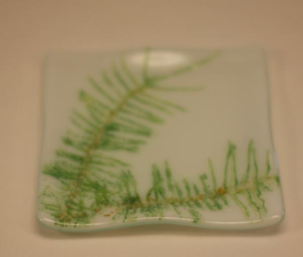 Wavy Fern Vitra picture