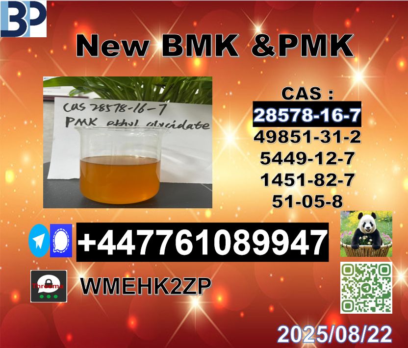 28578-16-7 PMK  and 5449-12-7 BMK Powder  Factory Supply picture