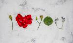 How I Stopped My Divorce and Got My Spouse Back with a Love Spell That Works Worldwide
