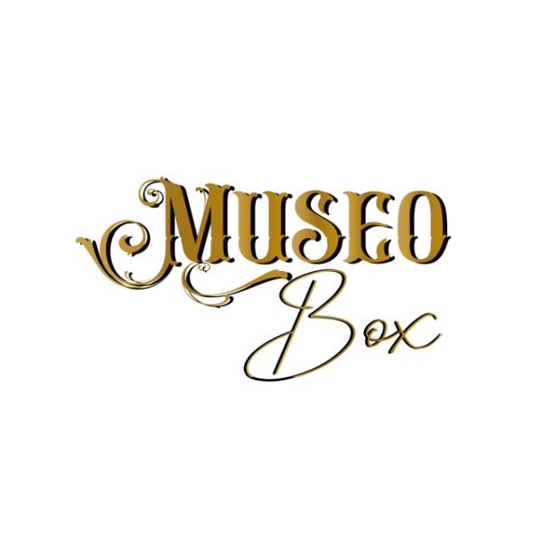 Museo Box Art Gallery