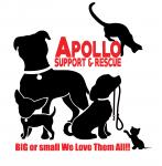 Apollo Support & Rescue