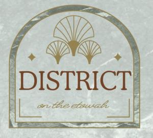 District on the Etowah Apartments
