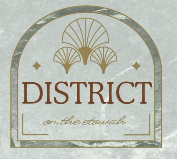 District on the Etowah Apartments