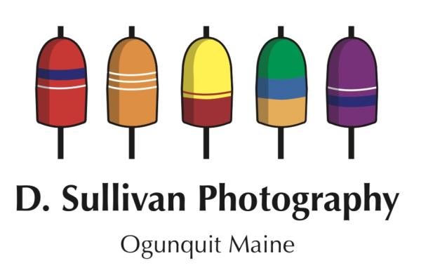 D Sullivan Photography