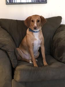 Eric Drexler LLC logo