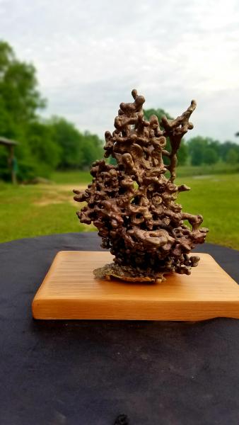 Bronze Anthill One of a Kind picture