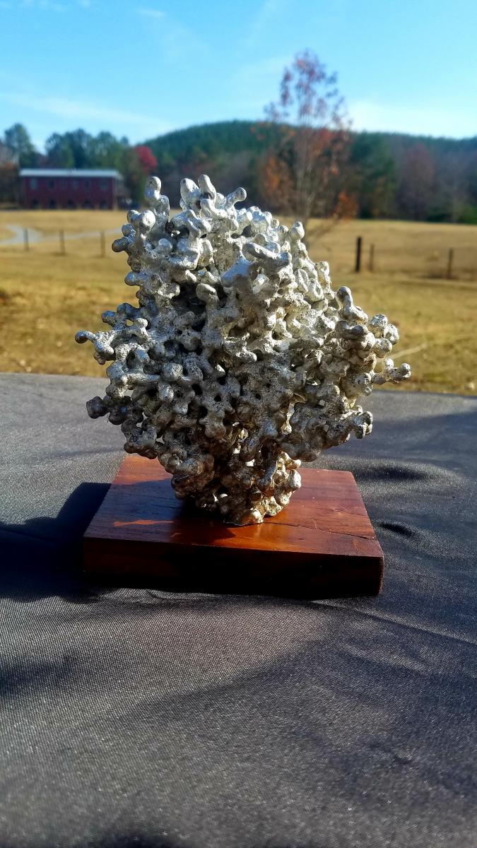 Little Bitty Big City picture