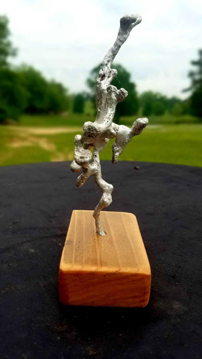 The Ballerina picture