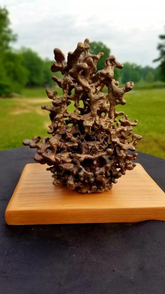 Bronze Anthill One of a Kind