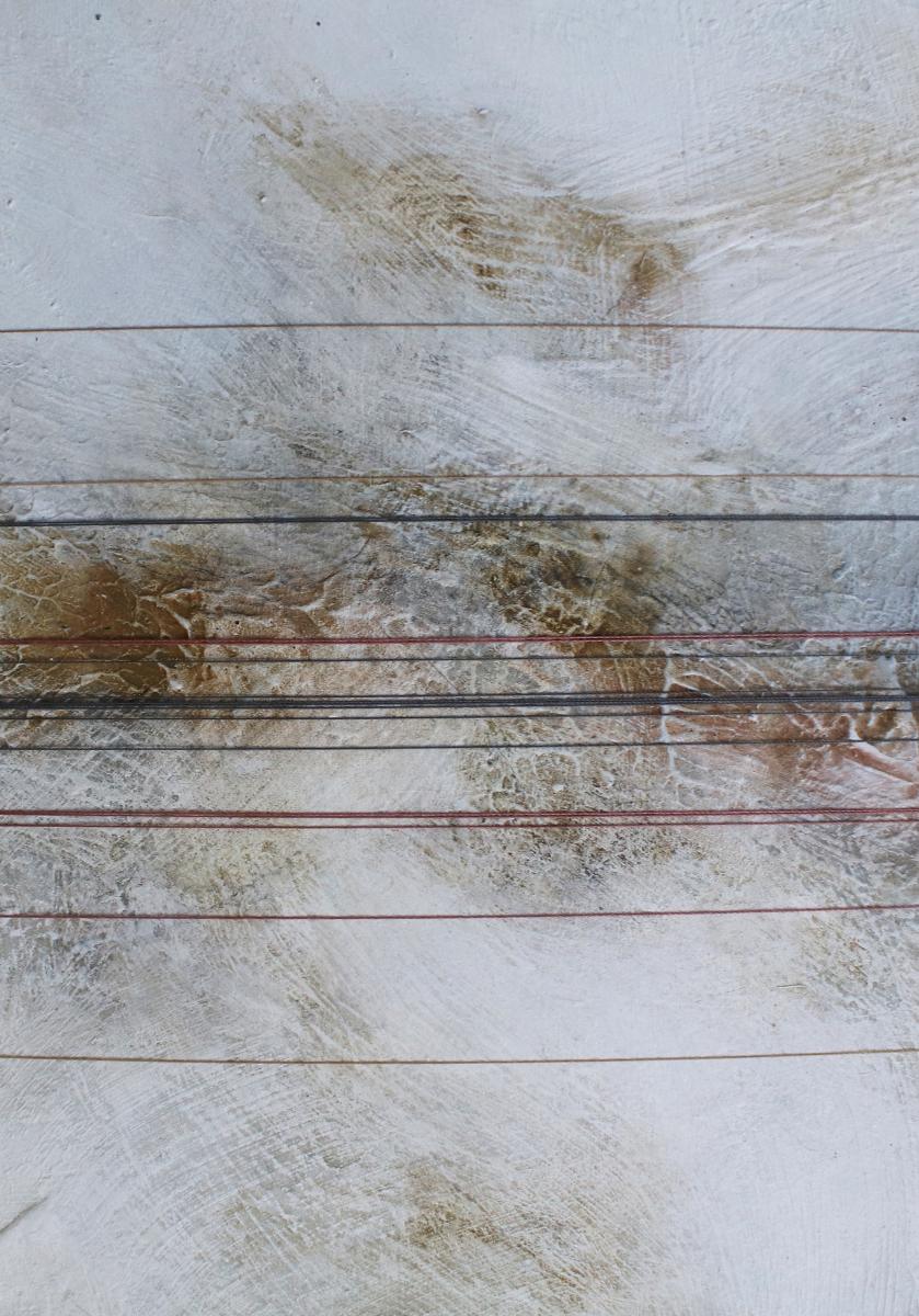 "Shell Studies, No.9" - 5"x7" picture