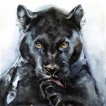 Black panther