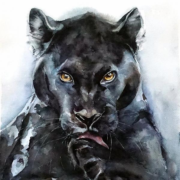 Black panther picture