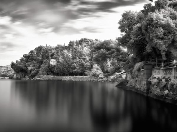 Trieste Coastline picture