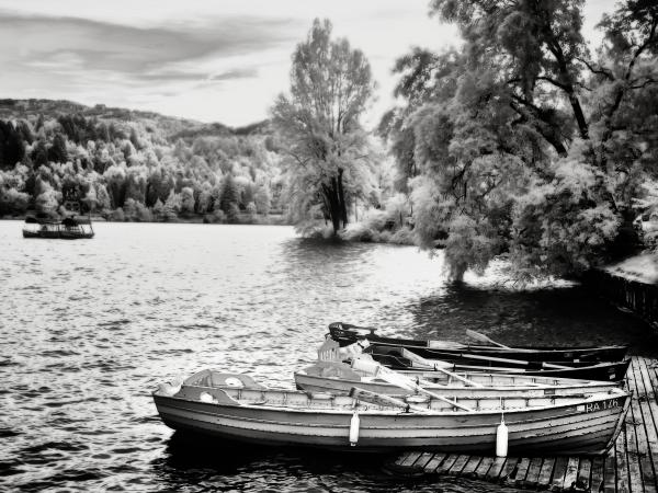 Lake Bled (Slovenia) picture