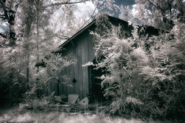 Abandoned Shed in IR picture
