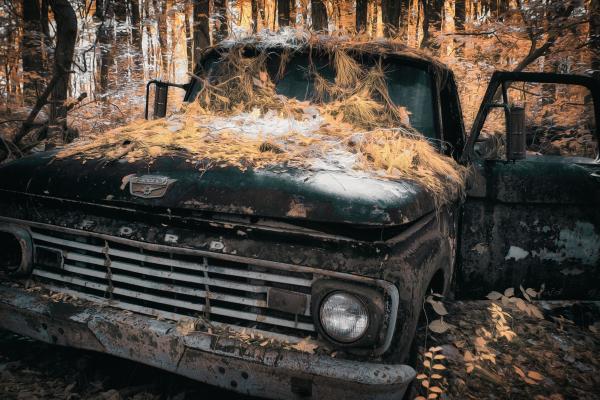 Ford Truck in IR picture