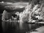 Lake Bled (Slovenia)