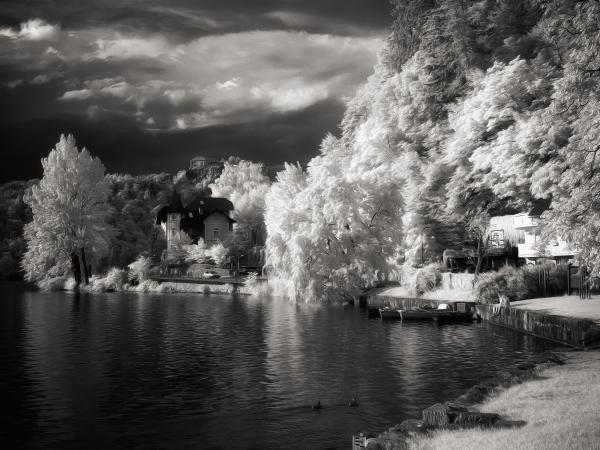 Lake Bled (Slovenia) picture