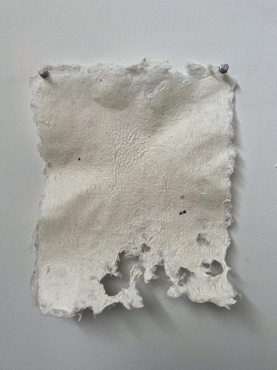 Did You Ever Go Clear? picture