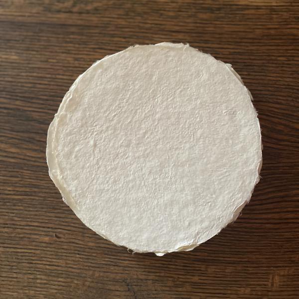 Handmade Paper Circles picture