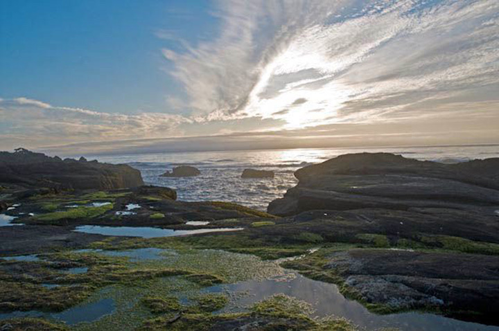 Low Tide