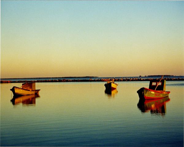 Three Boats picture