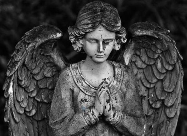 Angel Praying picture