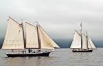 Schooners In Camden Bay