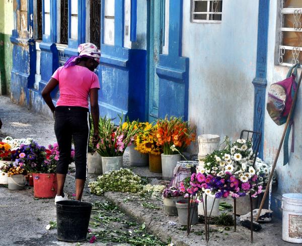 Havana (Cuba) Flower Girl picture