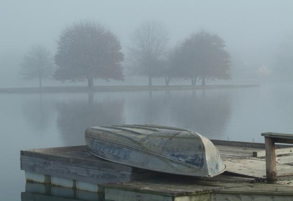 Foggy Day picture