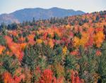 Fall Colors In The White Mountains of New Hampshire