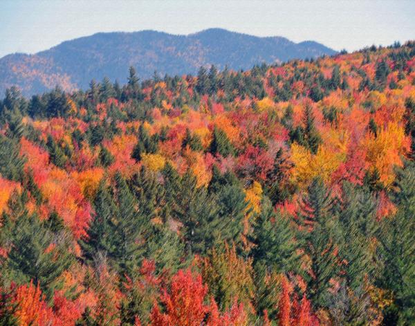 Fall Colors In The White Mountains of New Hampshire picture