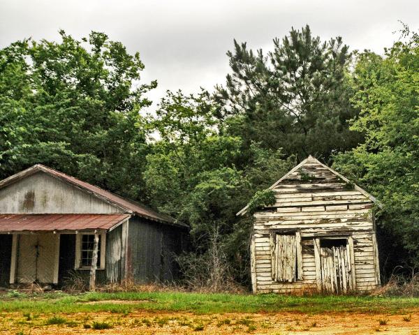 Two Shacks picture