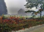 Barn In The Mist