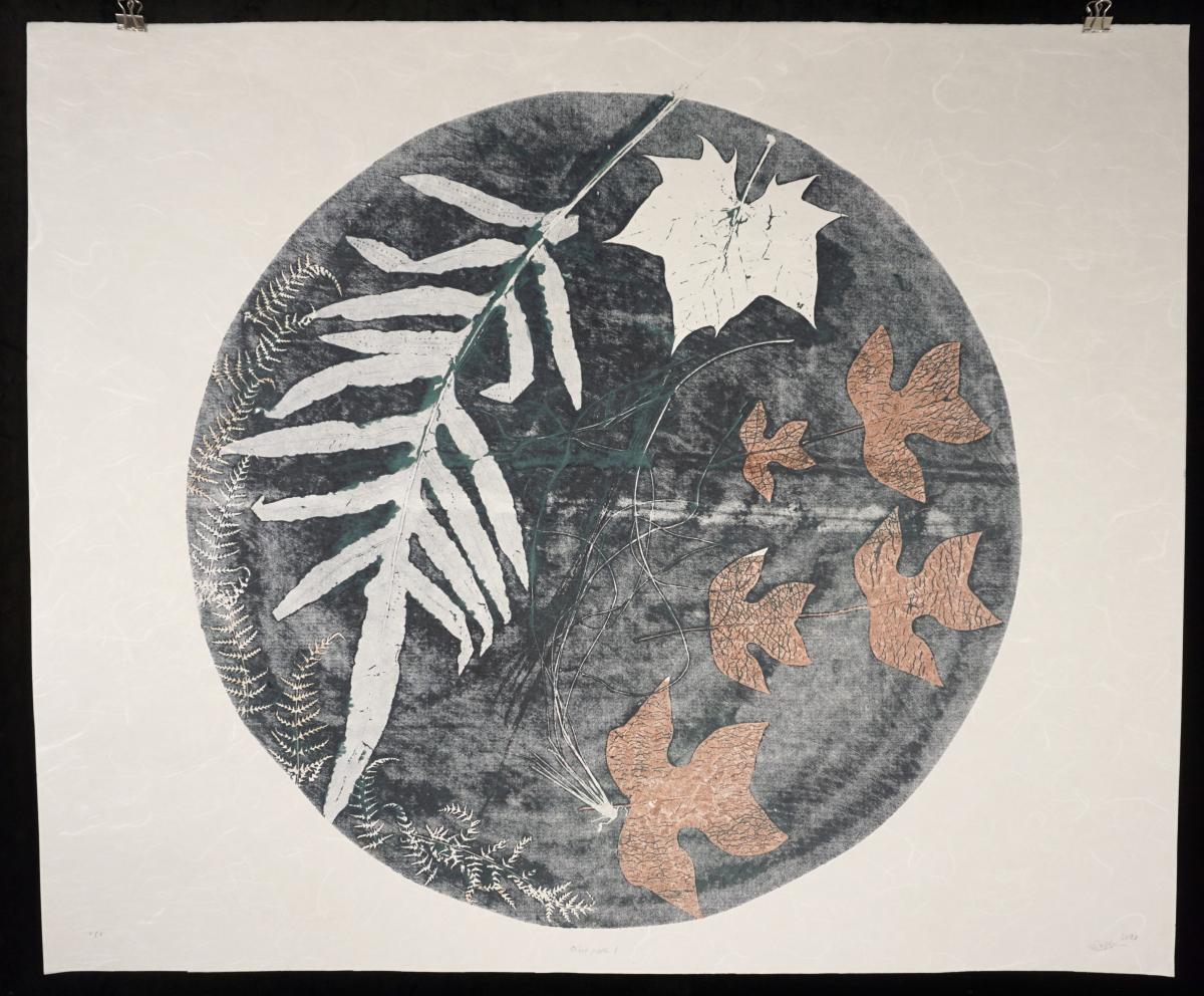 Orbit Path 1 picture