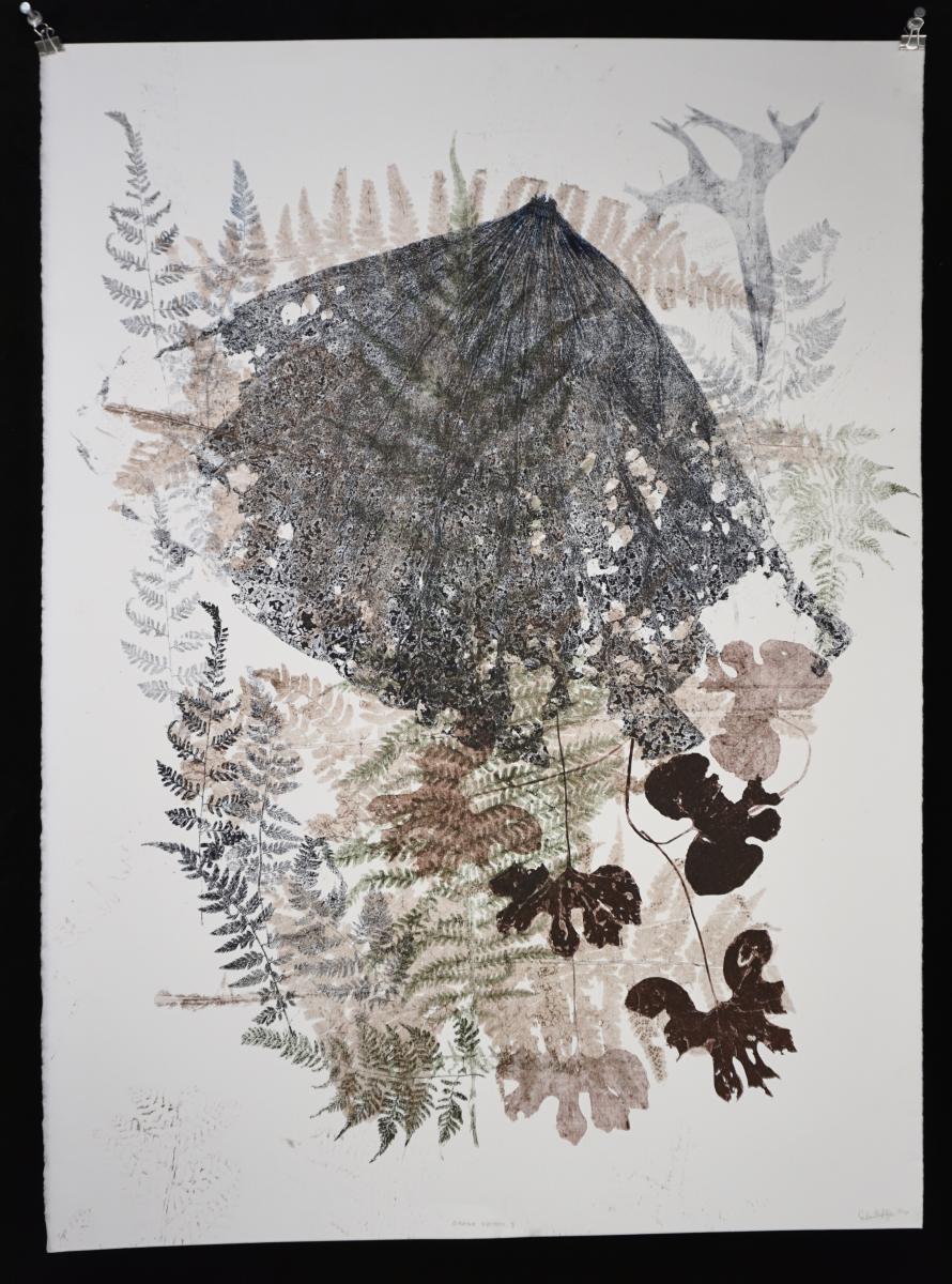 Organ System 3 picture