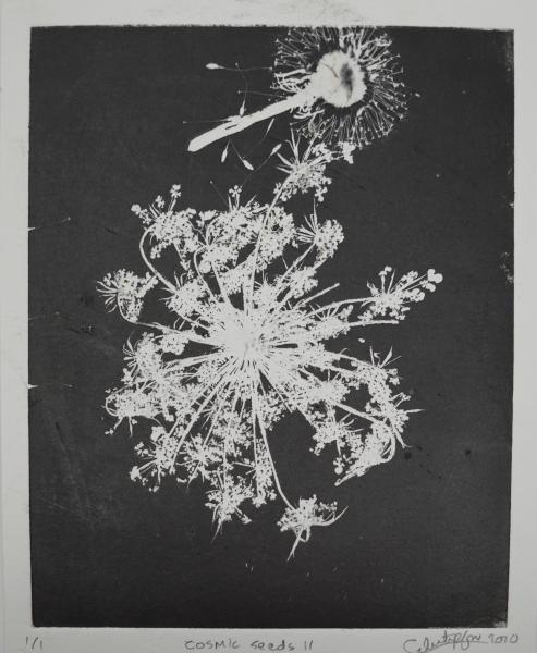 SOLD! Cosmic Seeds 11 picture