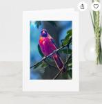 Lustrous Cardinal  Pack of 5 Greeting Cards
