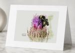Bristles and Prickles - Greeting Cards Pack of 5