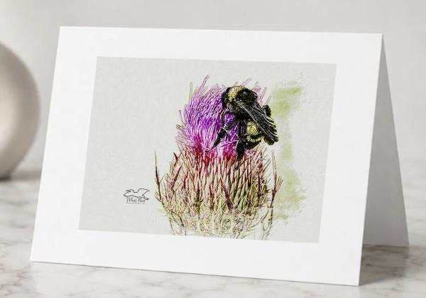 Bristles and Prickles - Greeting Cards Pack of 5