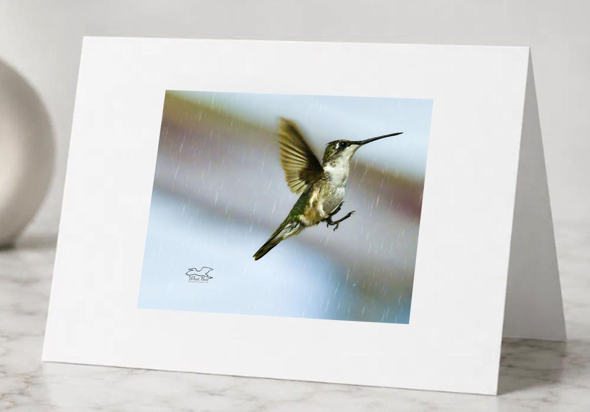 Humming in the Rain   Greeting Cards picture