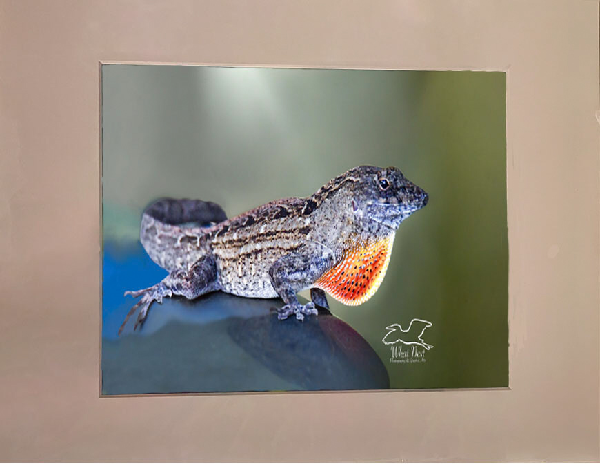 Ornate Patterns   4x6 Print picture