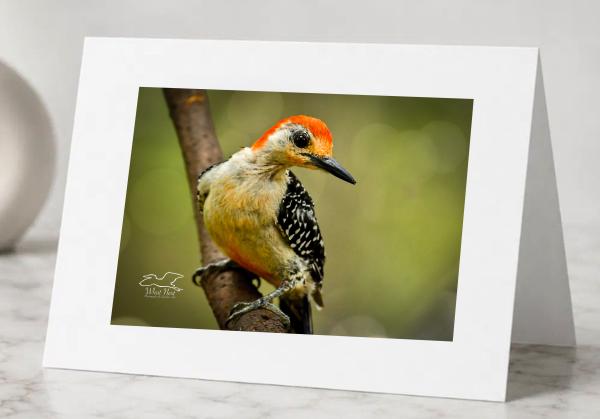 Blushing Red - Pack of 5 Greeting Cards