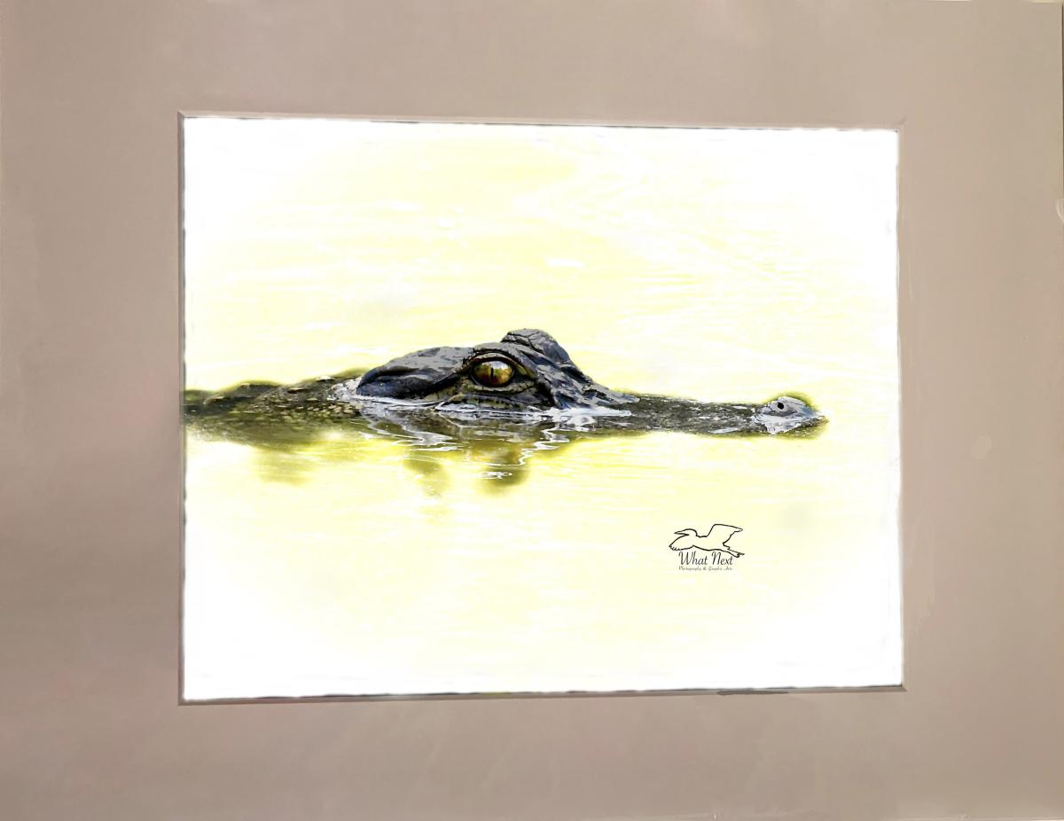 Lurking in the Depths  5x7 Print picture