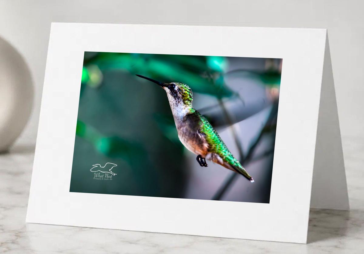 Glistening Greens   Pack of 5 Greeting Cards picture