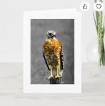 Majestic Presence - Greeting Cards Pack of 5