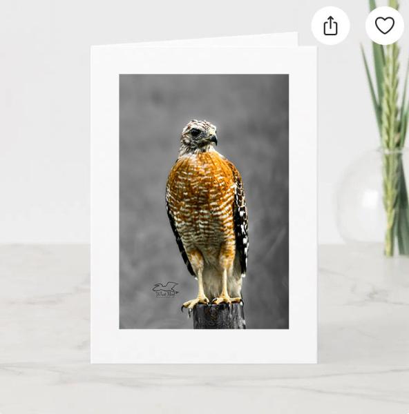 Majestic Presence - Greeting Cards Pack of 5