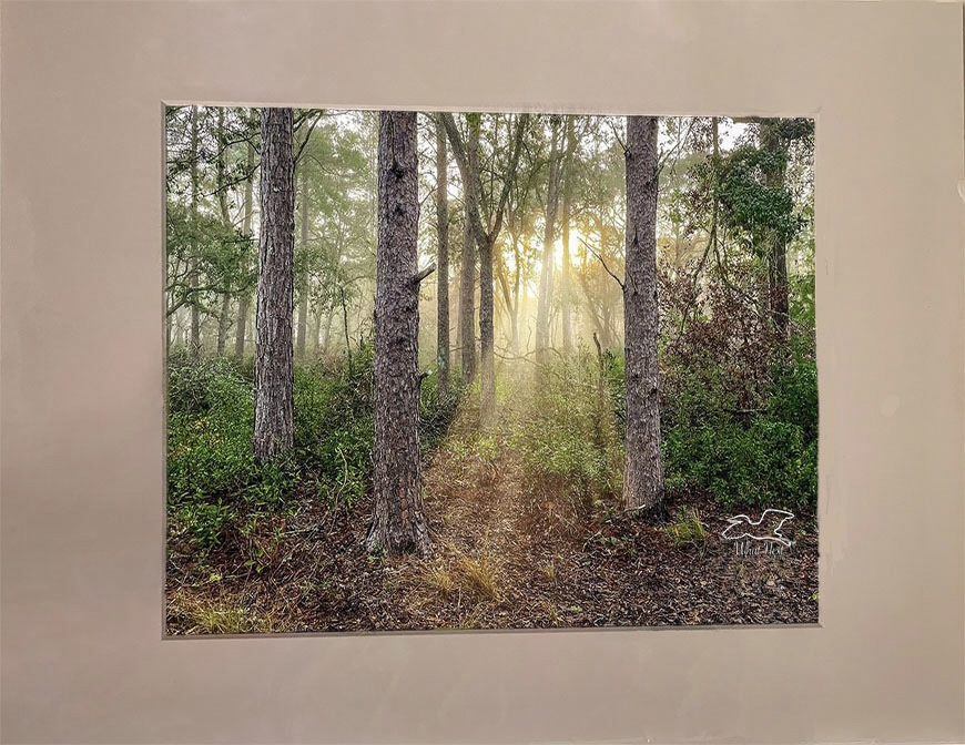Mists of Morning  4x6 Print picture