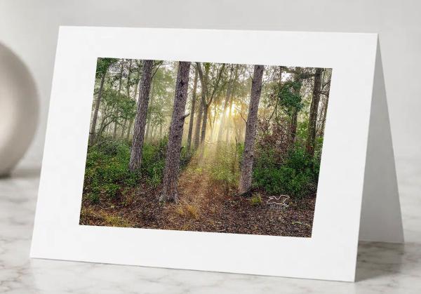 Mists of Morning- Greeting Cards Pack of 5